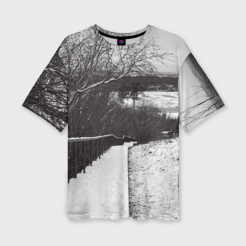 Женская футболка оверсайз Заснеженная лестница в парке / 3D-принт – фото 1