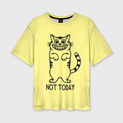 Женская футболка оверсайз Хитрый кот