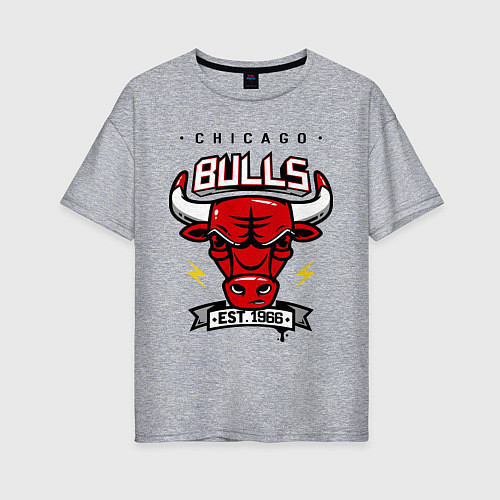 Женская футболка оверсайз Chicago Bulls est. 1966 / Меланж – фото 1