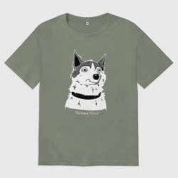 Футболка оверсайз женская Курьер - Шарик, цвет: авокадо