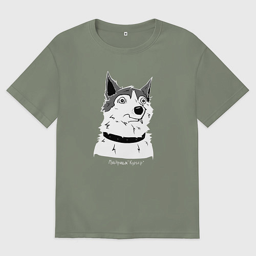 Женская футболка оверсайз Курьер - Шарик / Авокадо – фото 1