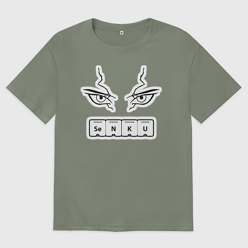 Женская футболка оверсайз Сенку Доктор Стоун Химия / Авокадо – фото 1