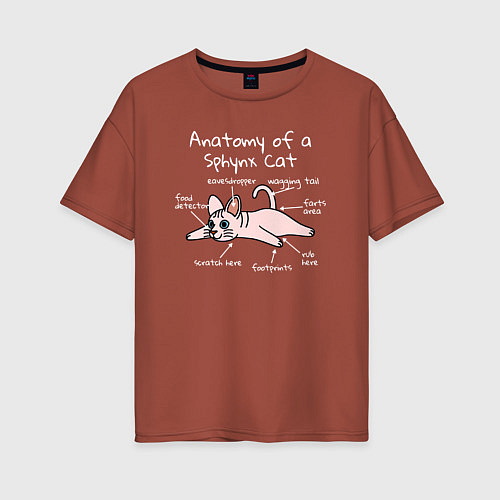 Женская футболка оверсайз Анатомия кошки сфинкса / Кирпичный – фото 1