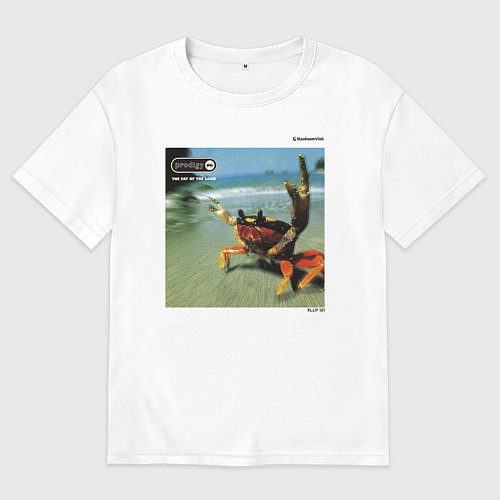 Женская футболка оверсайз SV The Fat Of The Land W / Белый – фото 1