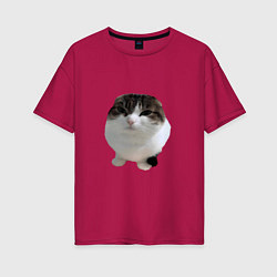 Женская футболка оверсайз Wawa cat Oh The Misery Cat