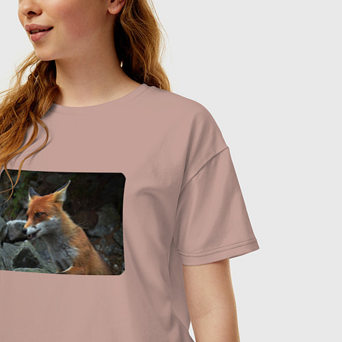 Женская футболка оверсайз Лисичка на камнях / Пыльно-розовый – фото 3