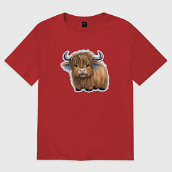 Женская футболка оверсайз Шотландский волосатый бык