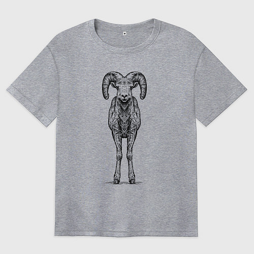 Женская футболка оверсайз Баран анфас / Меланж – фото 1