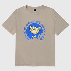 Женская футболка оверсайз Мои ночи прекрасней ваших дней