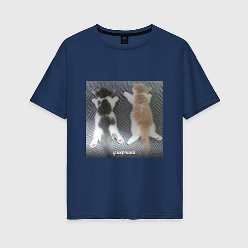 Женская футболка оверсайз Мемные коты умерчики / Тёмно-синий – фото 1