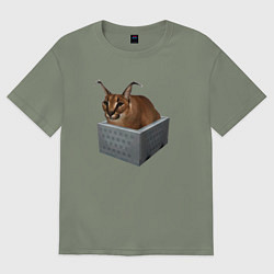 Женская футболка оверсайз Кот блоггер Шлепа