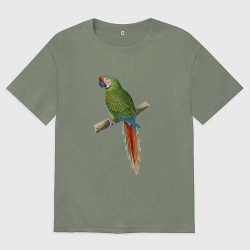 Женская футболка оверсайз Зеленый ара / Авокадо – фото 1