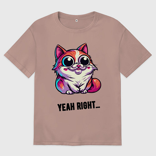Женская футболка оверсайз Саркастически улыбающийся кот / Пыльно-розовый – фото 1