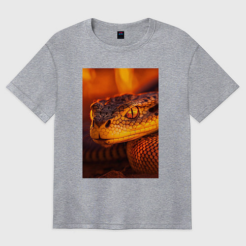 Женская футболка оверсайз Огненная змея / Меланж – фото 1
