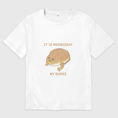 Женская футболка оверсайз Жаба из мема среда мои чуваки / Белый – фото 1