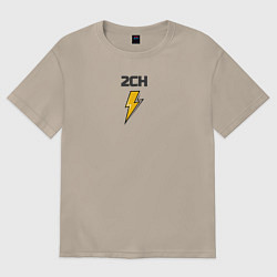 Женская футболка оверсайз Mолния 2ch