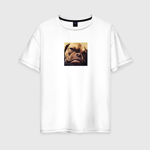 Женская футболка оверсайз Сердитый Песик / Белый – фото 1