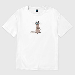 Женская футболка оверсайз Kitten