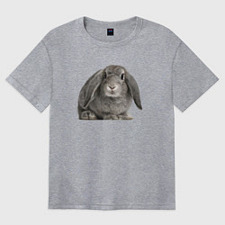 Женская футболка оверсайз Серый пушистый кролик