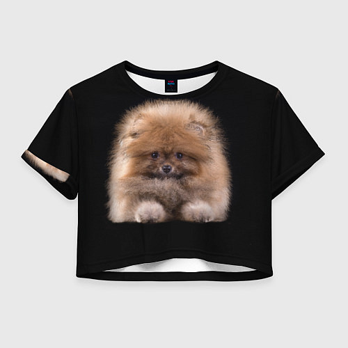 Женский топ Рыжий Шпиц / 3D-принт – фото 1