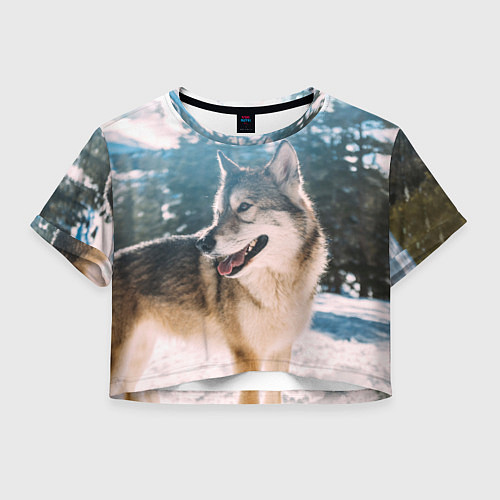Женский топ Волк и снег / 3D-принт – фото 1