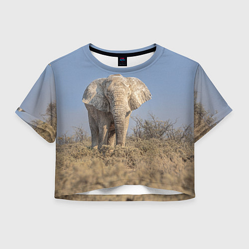 Женский топ Африканский белый слон / 3D-принт – фото 1