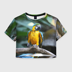 Футболка 3D укороченная женская Красавец попугай, цвет: 3D-принт