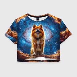 Футболка 3D укороченная женская Финский лаппхунд в космосе, цвет: 3D-принт