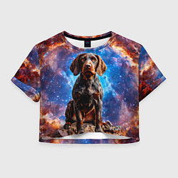 Футболка 3D укороченная женская Дратхаар в космосе, цвет: 3D-принт