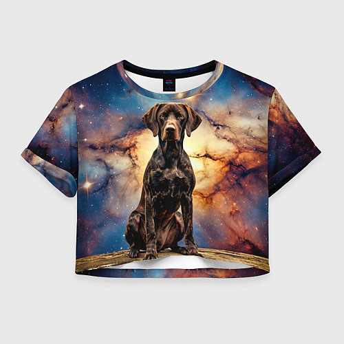 Женский топ Курцхаар и космос / 3D-принт – фото 1