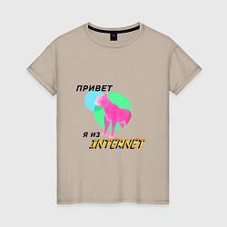 Женская футболка Привет я из internet