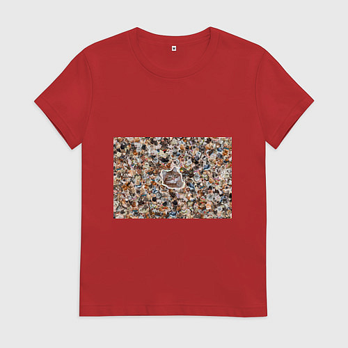 Женская футболка Сибирская тм AntiPsychoVirus / Красный – фото 1