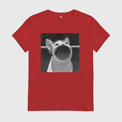 Женская футболка ЧБ Pop Cat