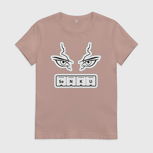 Женская футболка Сенку Доктор Стоун Химия / Пыльно-розовый – фото 1