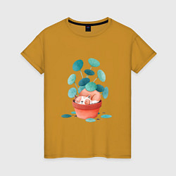 Женская футболка Котик и цветы