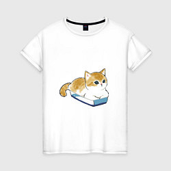 Женская футболка Котёнок отдыхает