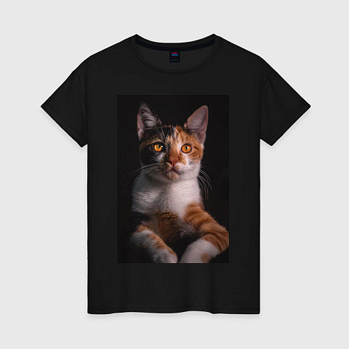 Женская футболка Умный взгляд кота / Черный – фото 1