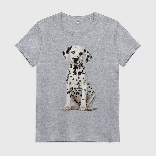 Женская футболка Well, just a cutie! / Меланж – фото 1