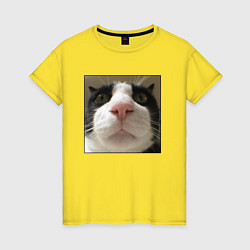 Женская футболка Задумчивый кот
