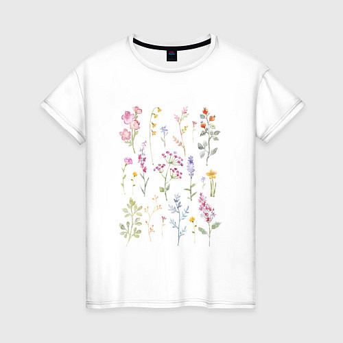 Женская футболка Акварельный рисунок растений / Белый – фото 1