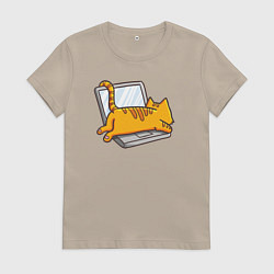 Женская футболка Котик лежит на ноутбуке