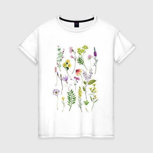 Женская футболка Полевые растения цветы ботаника / Белый – фото 1