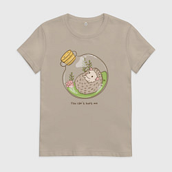 Женская футболка Меня не обидеть - ёж клубочком в колбе