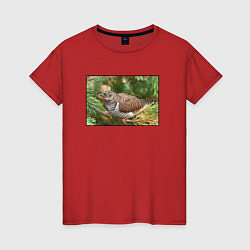 Женская футболка Кукушка в ветках ели
