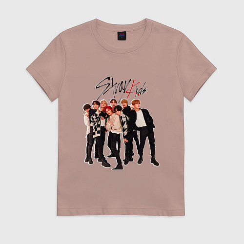 Женская футболка Bang Chan Lee Know Changbin Hyunjin Han Felix Seun / Пыльно-розовый – фото 1