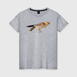 Женская футболка Сокол птица