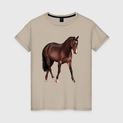 Футболка хлопковая женская Австралийская пастушья лошадь, цвет: миндальный