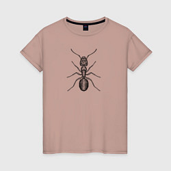 Женская футболка Муравей гравюра