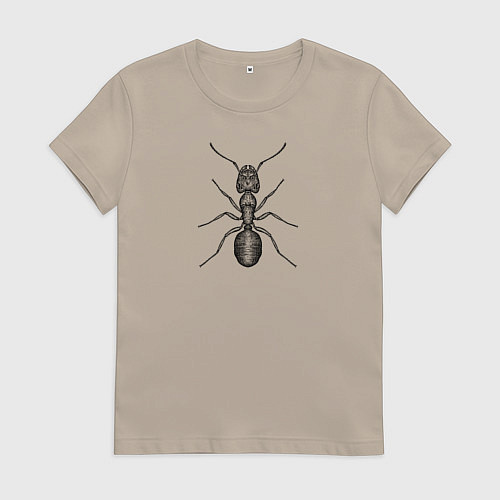 Женская футболка Муравей гравюра / Миндальный – фото 1
