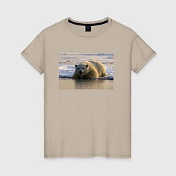 Женская футболка Медведь на севере